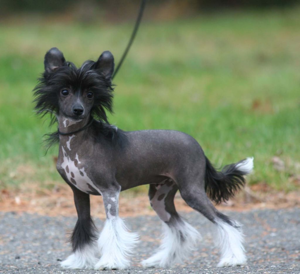 Jewels Leave Your Hat On