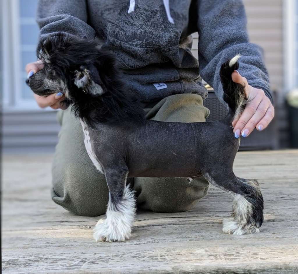 Denali's Taco Tuesday