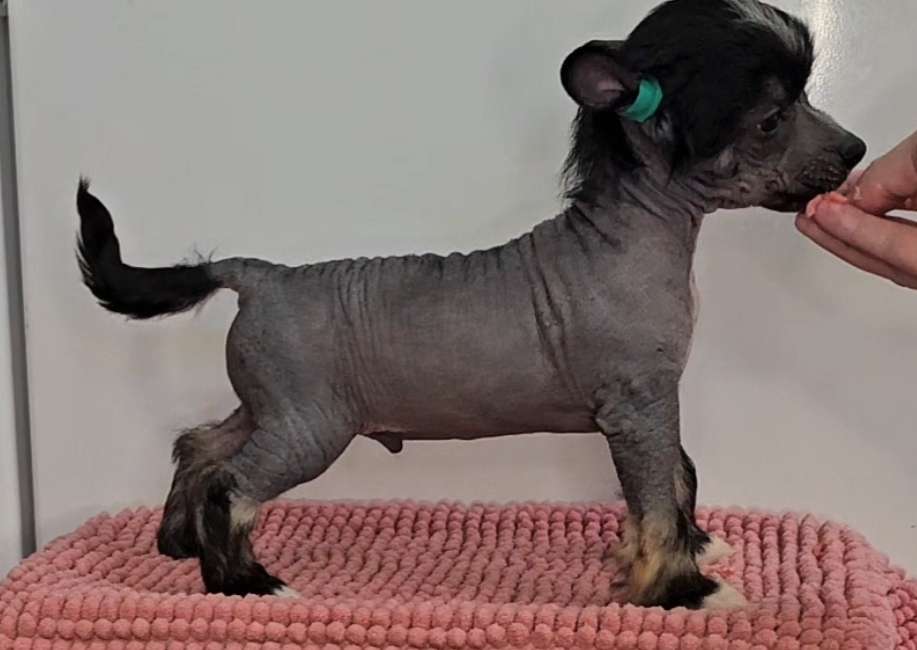 Kaitlin Hard To Be Humble