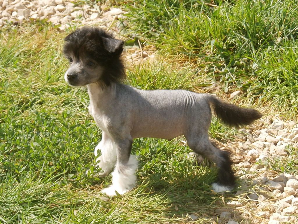 Bmcc Show Me Now I Dun It