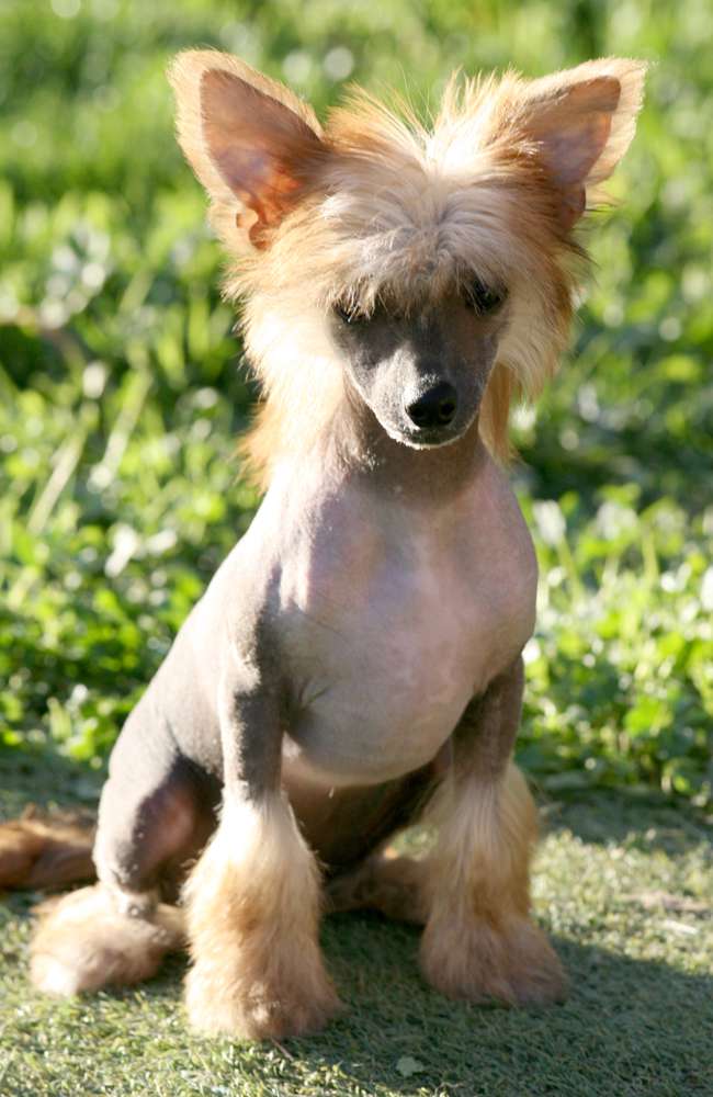 Romantic Fairy Tale  Michelle