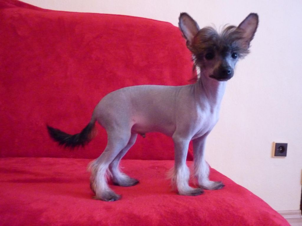 Aaron z Kutskych luk