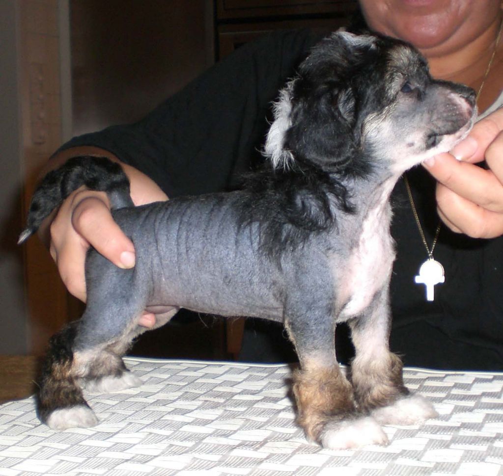 Sun-Hee's Designers Request