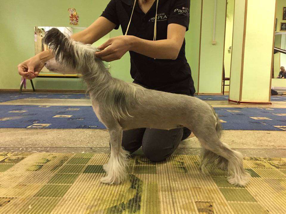 Elance Louange Lasting Impression