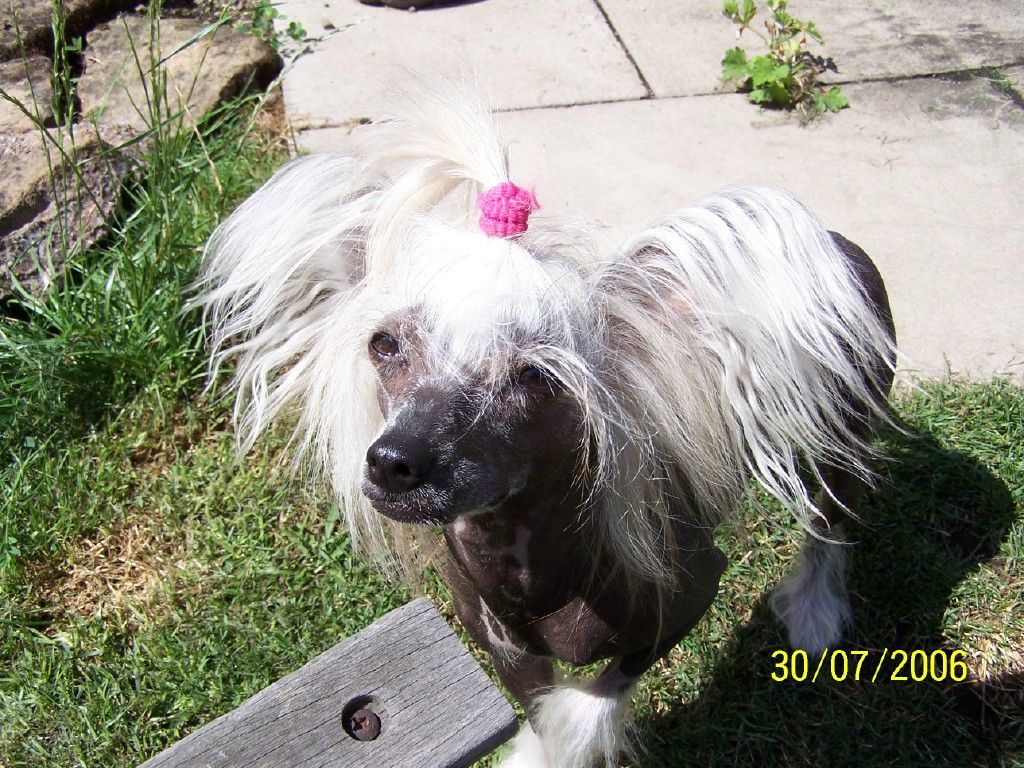 Jhanchi Lets Get Fizzical