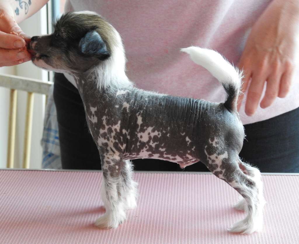 Zero Tolerance Smoke On The Water