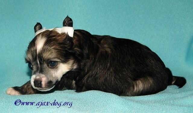 Picture