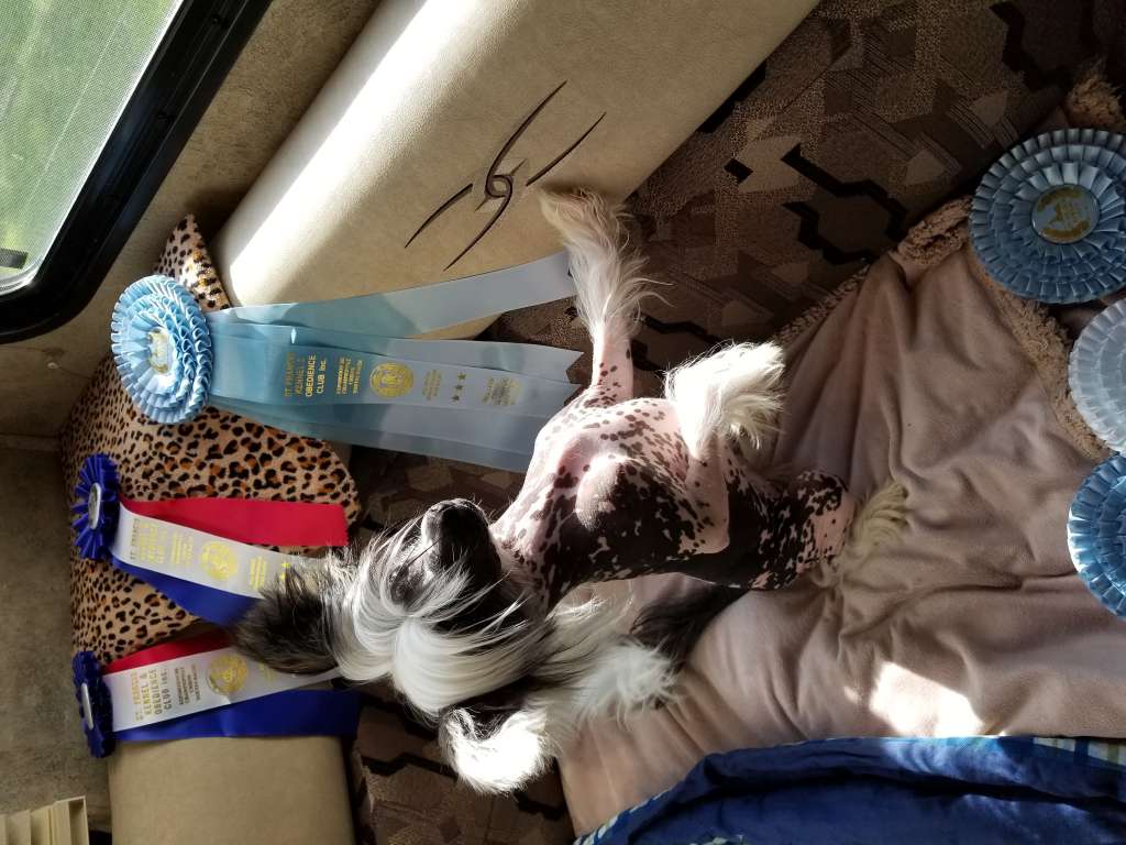 Nupoil's Rainbow Of Skittles