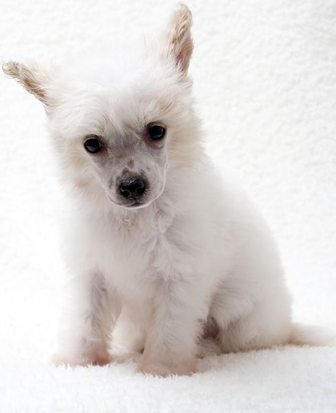 Romantic Fairy Tale Granny