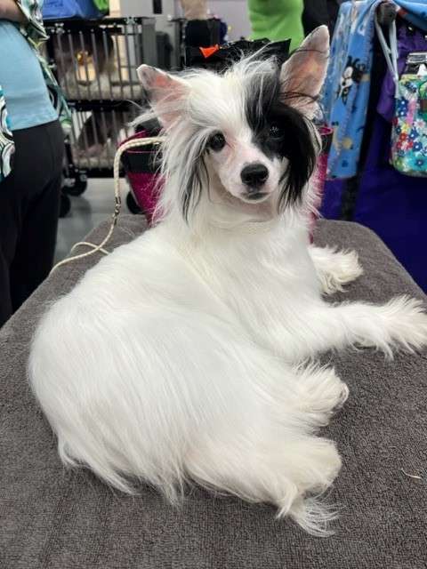 Cristall Myangel Sometimes You Just get Lucky