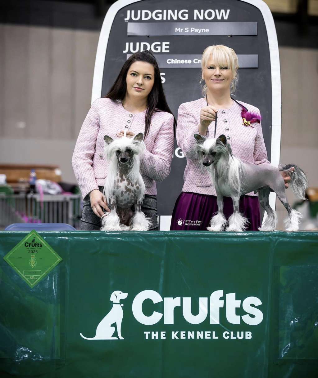 Cc Top Exclusive Dexter