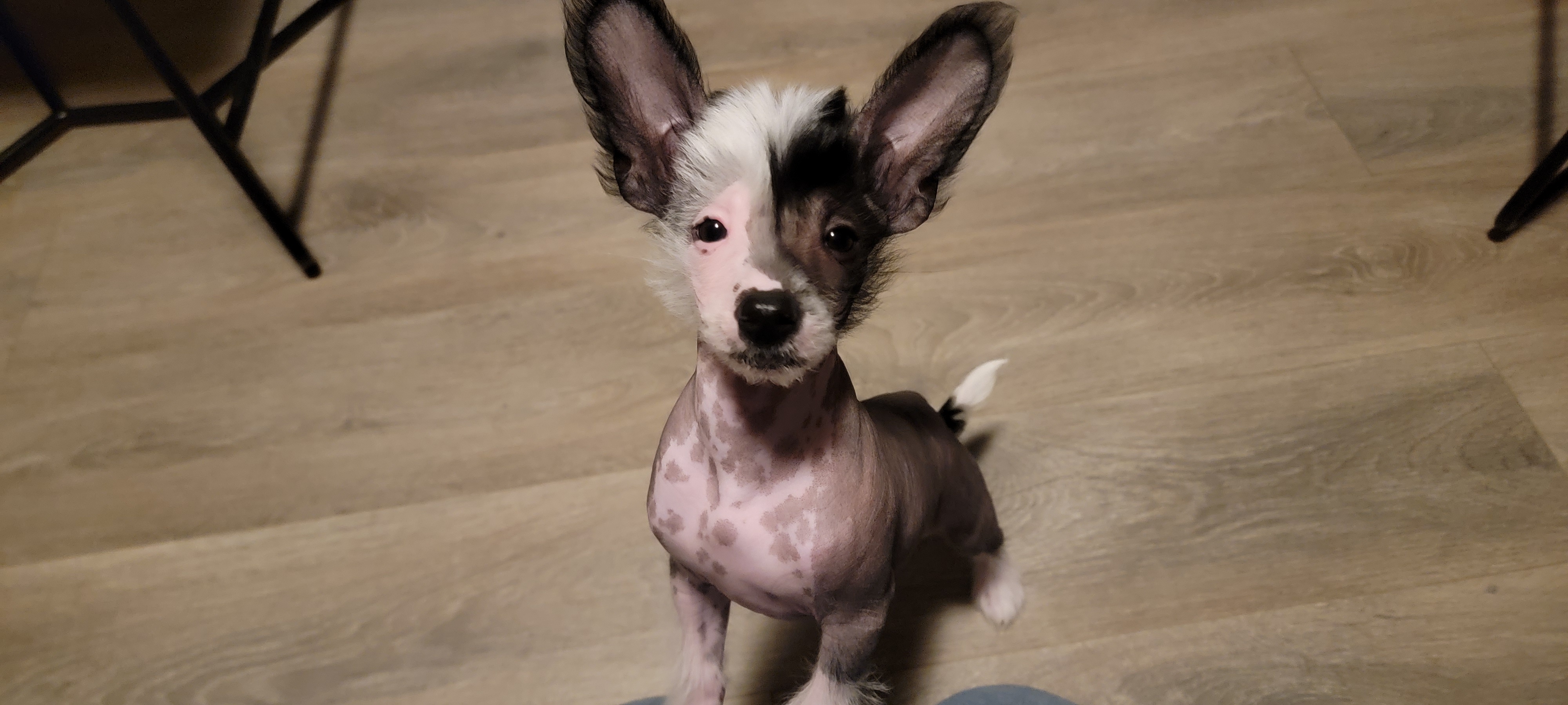 Funtymes Wearing Stilettos