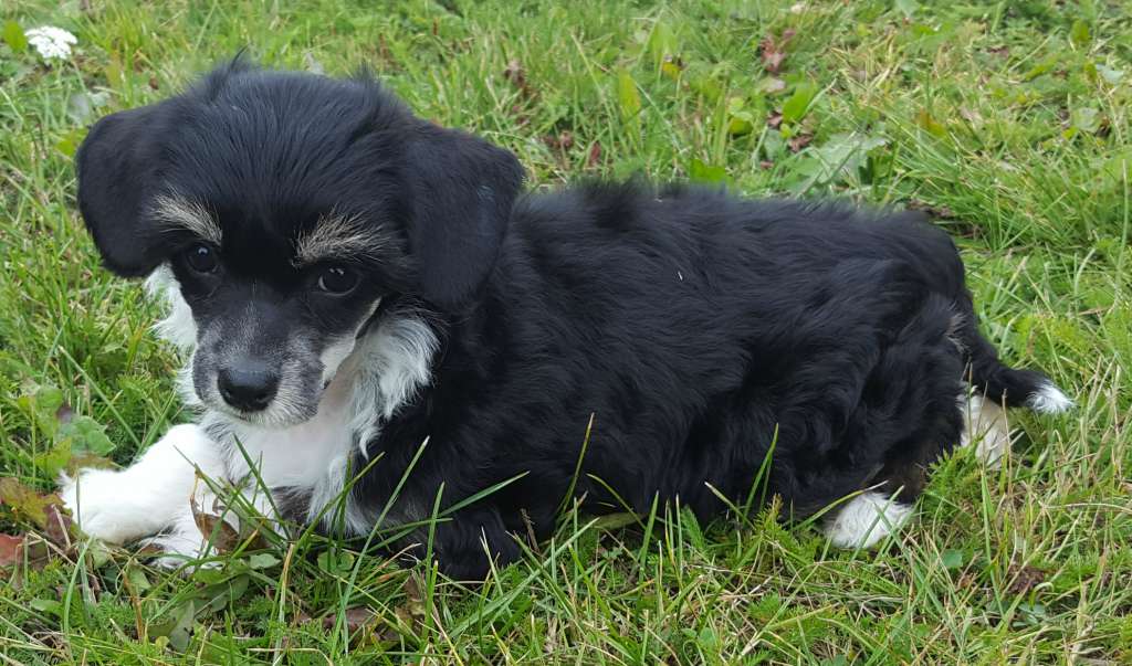 Andrakebyn's Eric Selvig