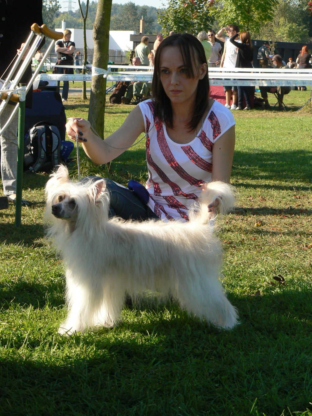 Picture