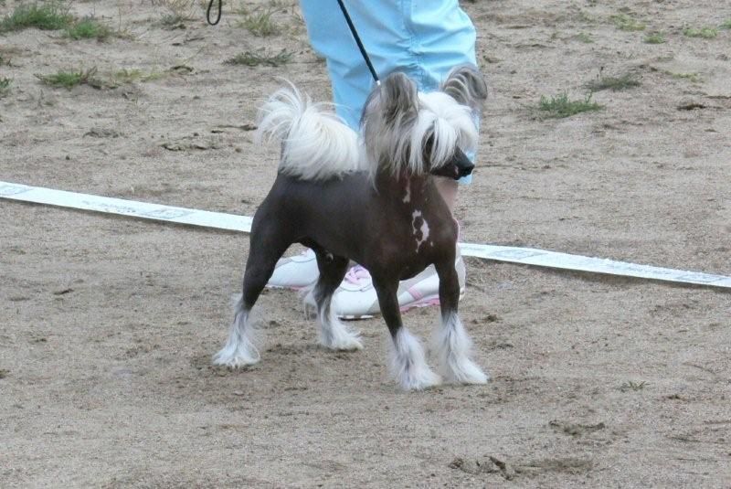 Kaunisvirran Peter Pan