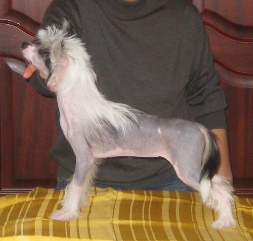 Picture