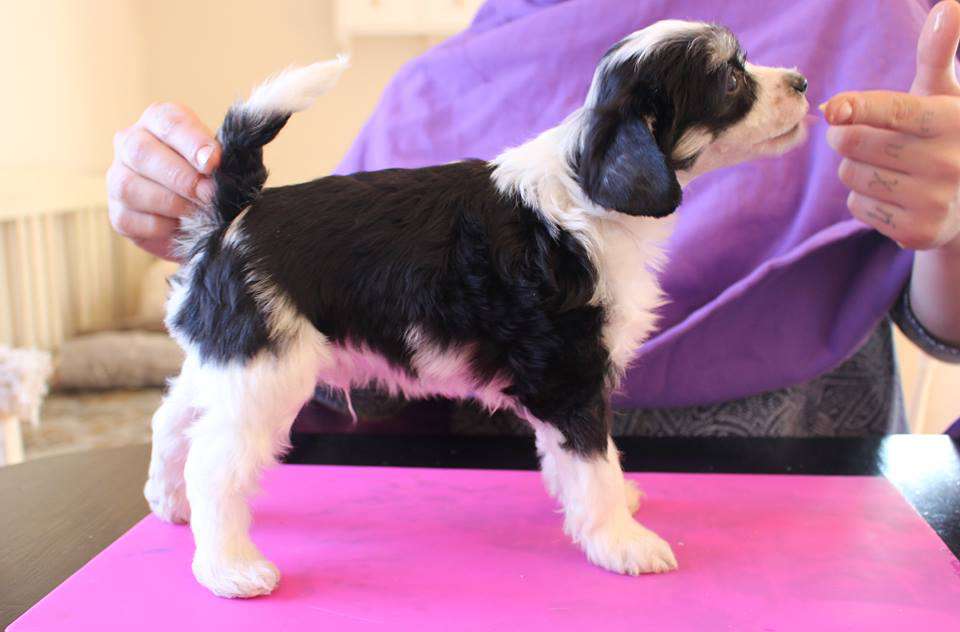 Love Bites The Namless One