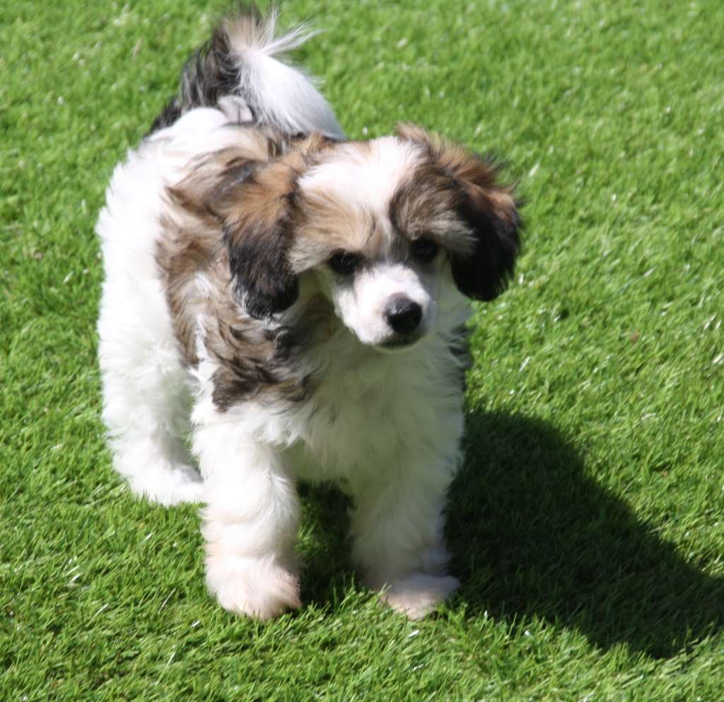 Us And Them of Angel's Legacy