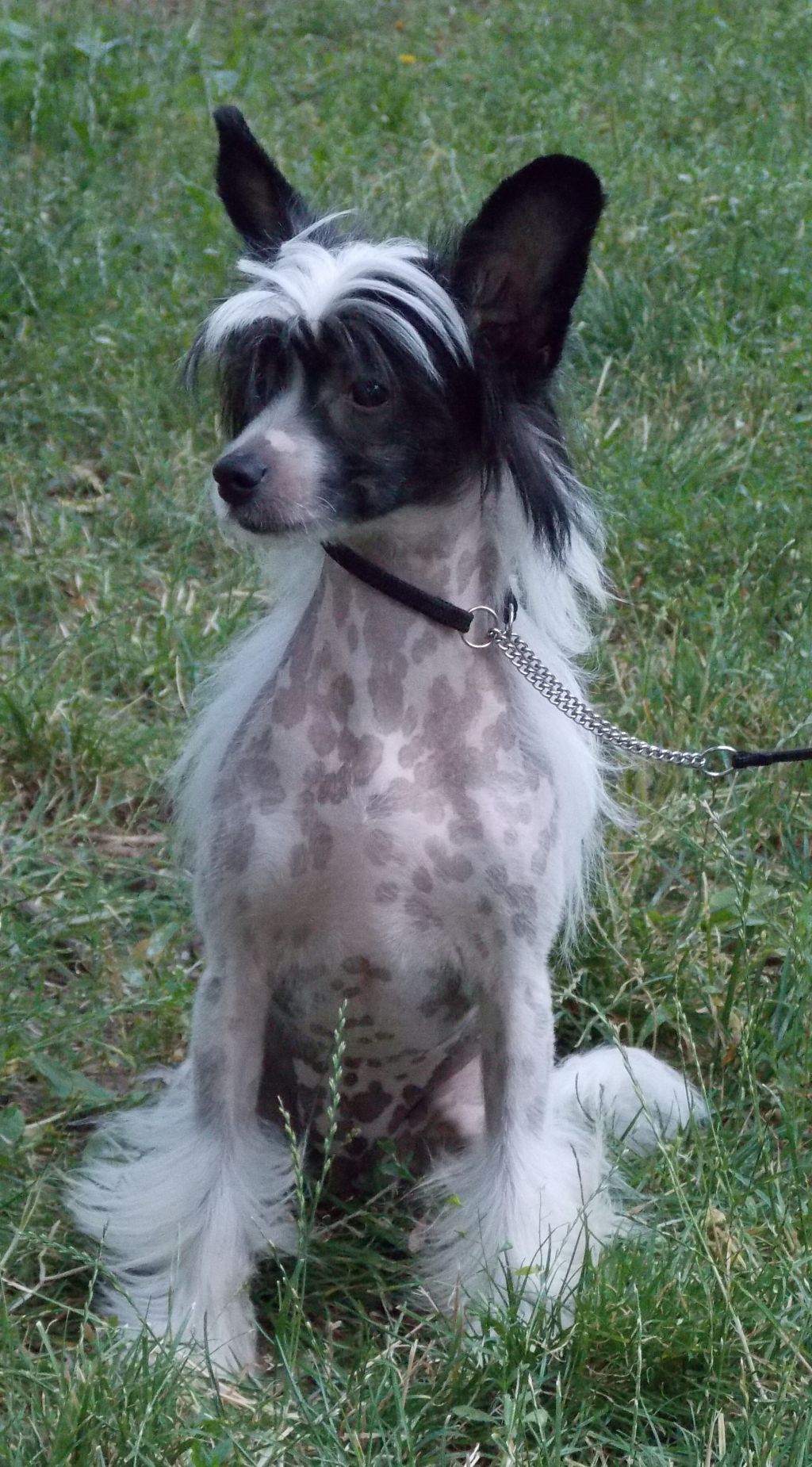 Omegaville Its my Party