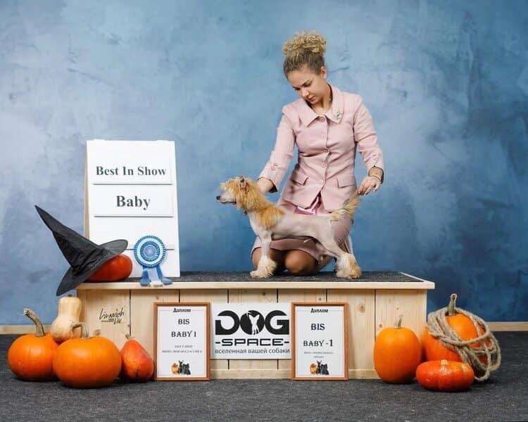 Rolana Family Vivaldi Antonio