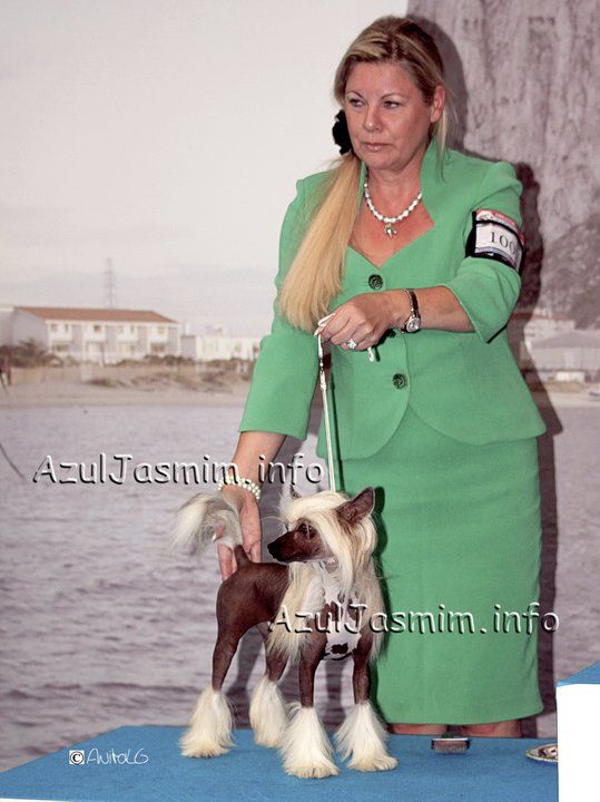 Omegaville Pardon My Dust