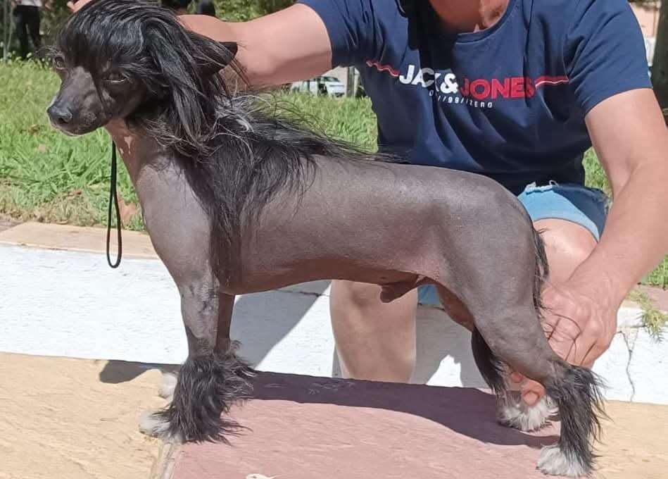 Zelendaya Enyoy the silence