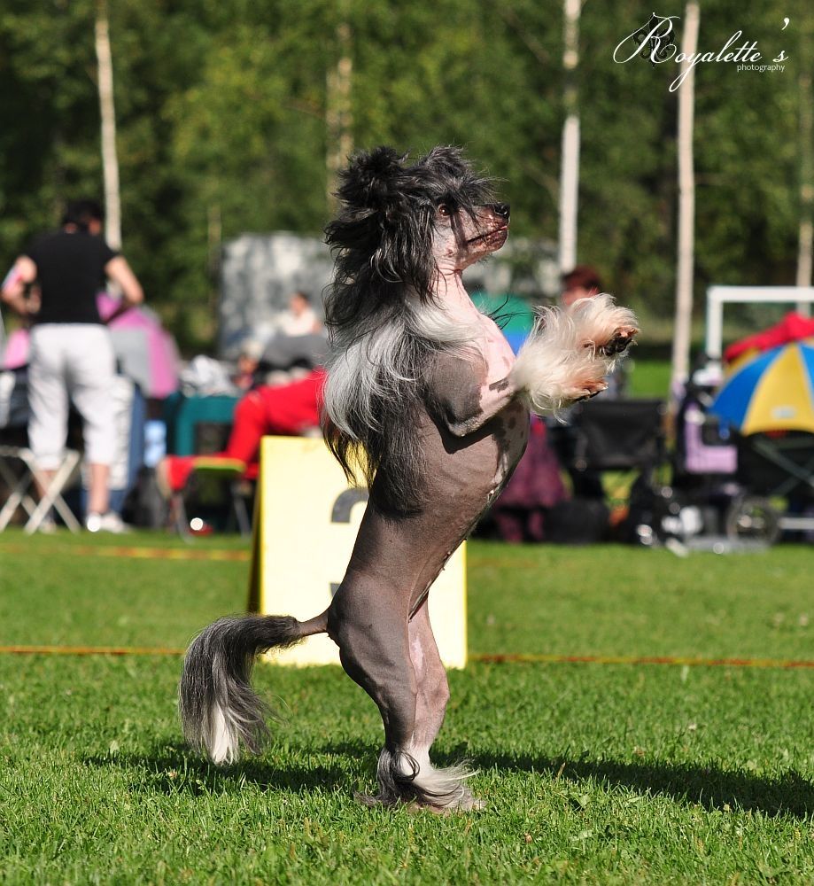 Valanyan Hello Kitty