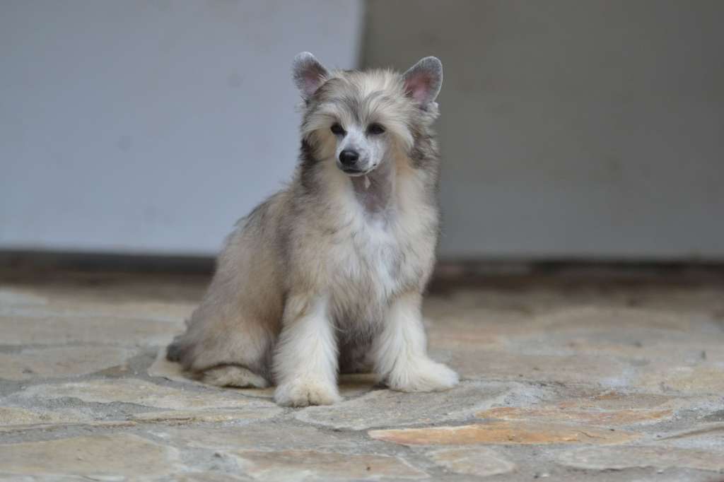 Madame Courage Akwen Jemalle