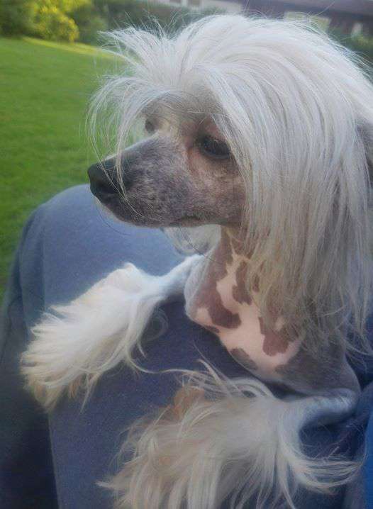 Thunderwing Hell On High Heels