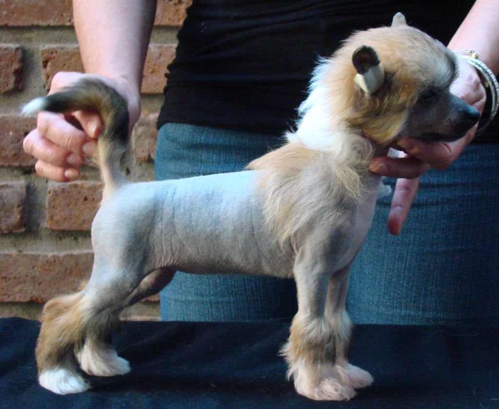 Patagonia Ranch Montana Blue