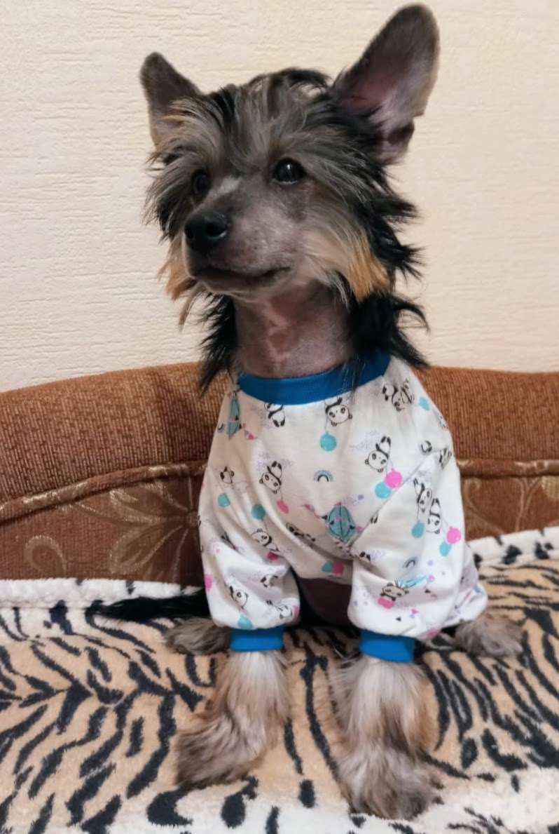 Utoli Moi Pechali iz Chudnoy Doliny