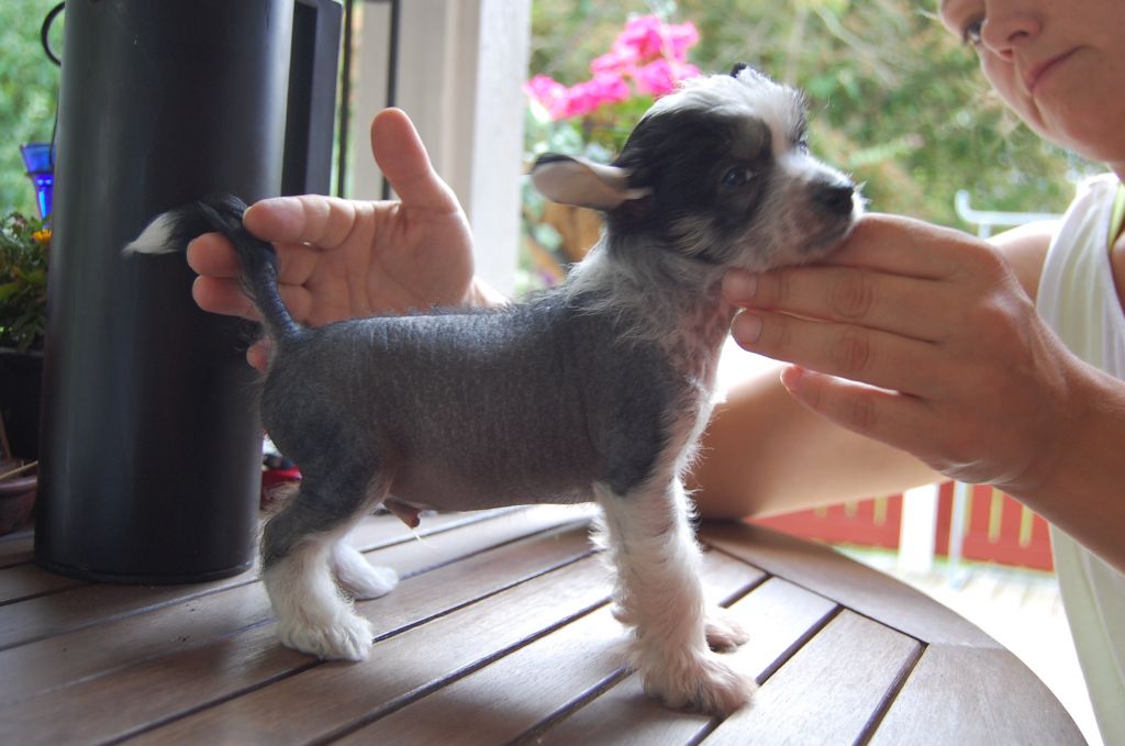 Sea Fire's Feast Your Eyes