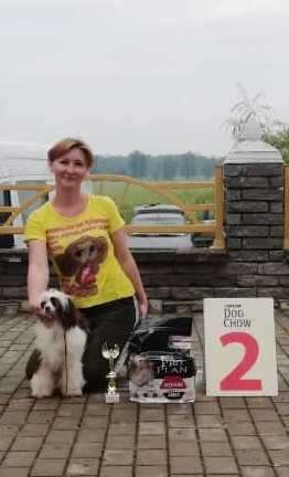 Picture