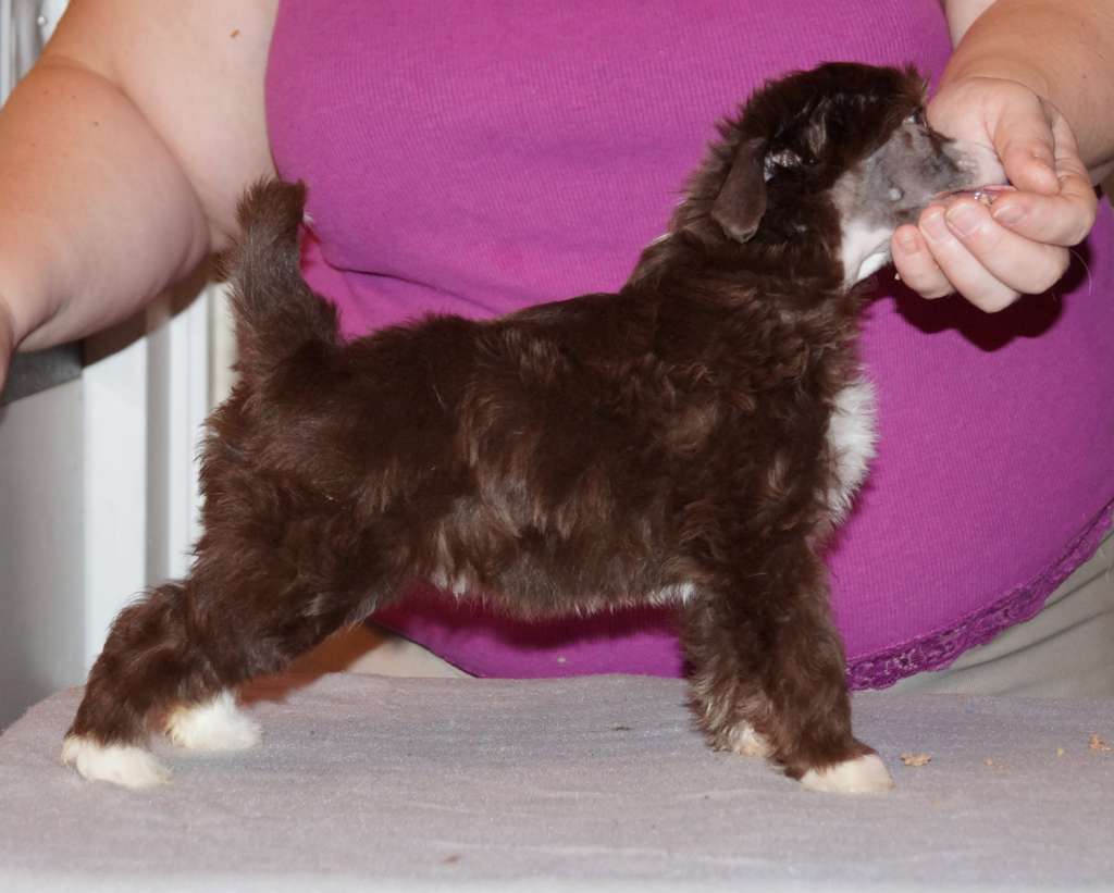 Sun Dan Best CHocolate Ever