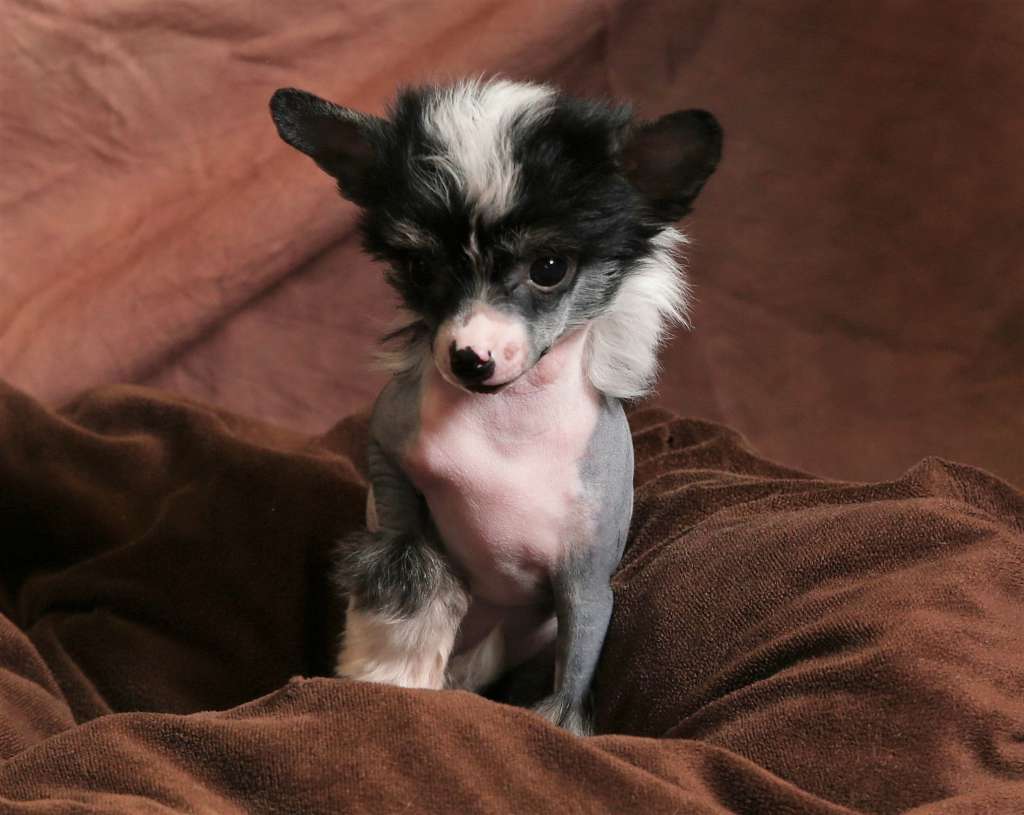 Cinondra's Walking In The Rain