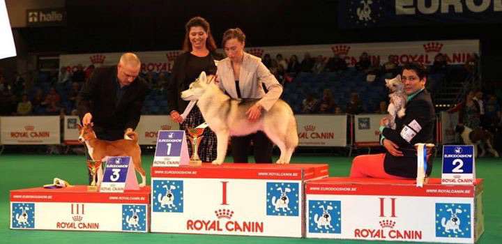 Nakea From China with love