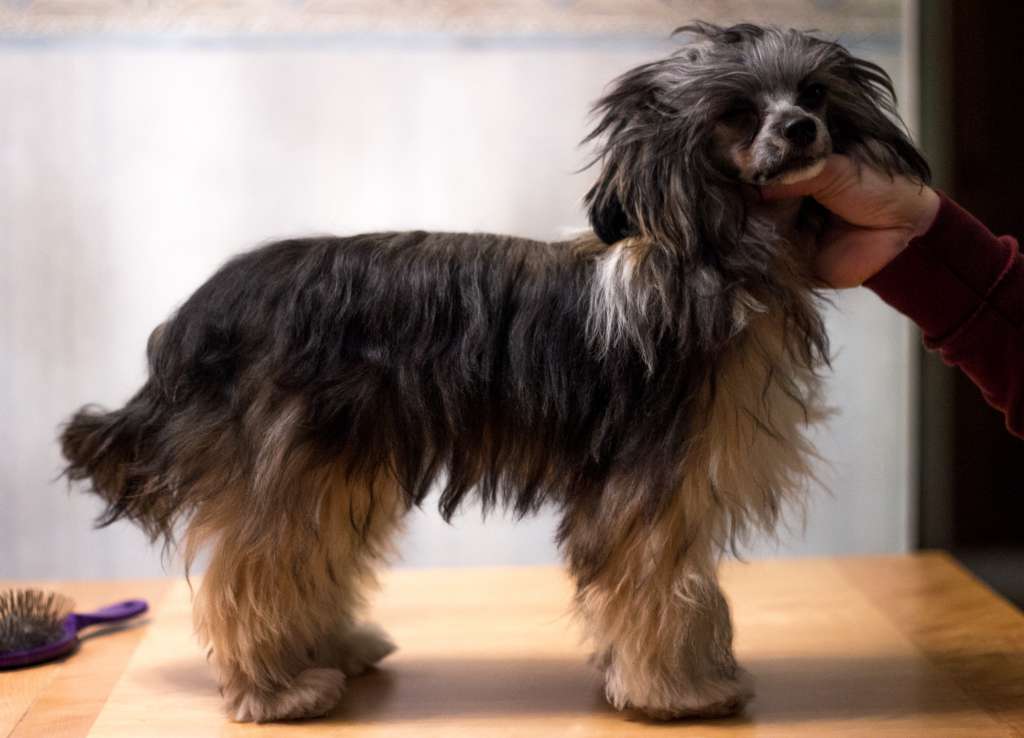 Yulilja Winter Blues