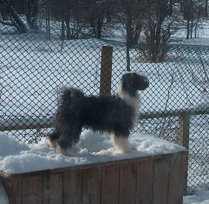 Leanonme's Dust In The Wind