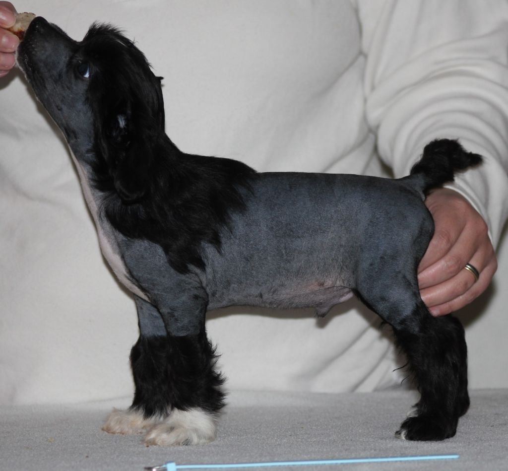 Hottie Tots Believe it or not