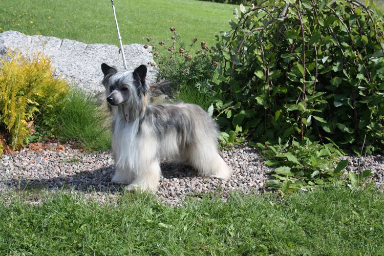 Spartace's About All Or Nothing