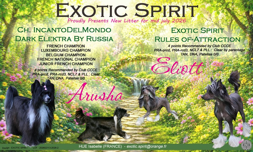 Exotic Spirit Bluebell Whisper