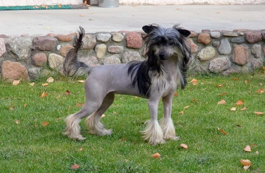 Barbara  Bonus Westtai