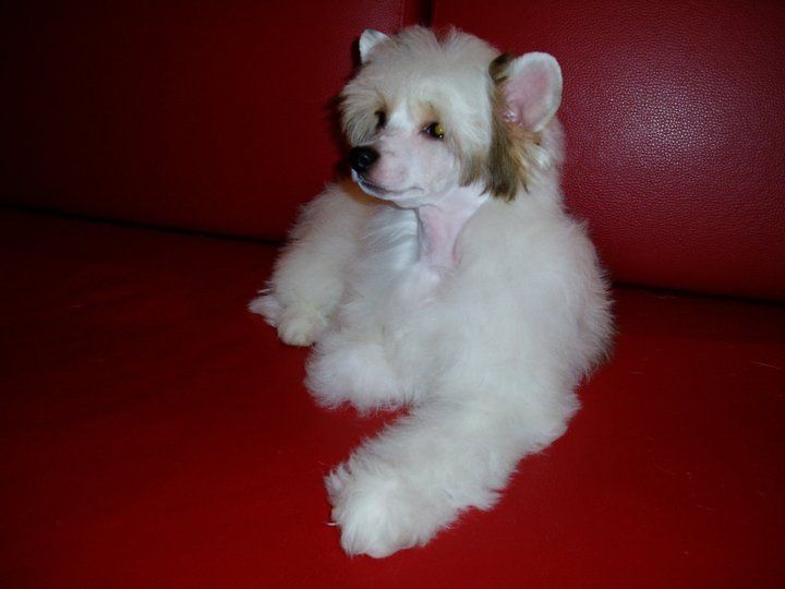 Zodellin Best Of My Love