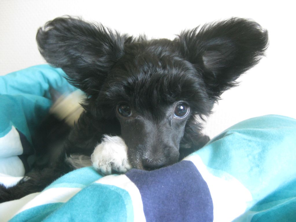 Joyway's All About Me