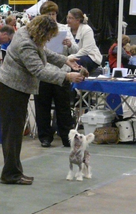 Stacking the Deck At Vegas N'CO