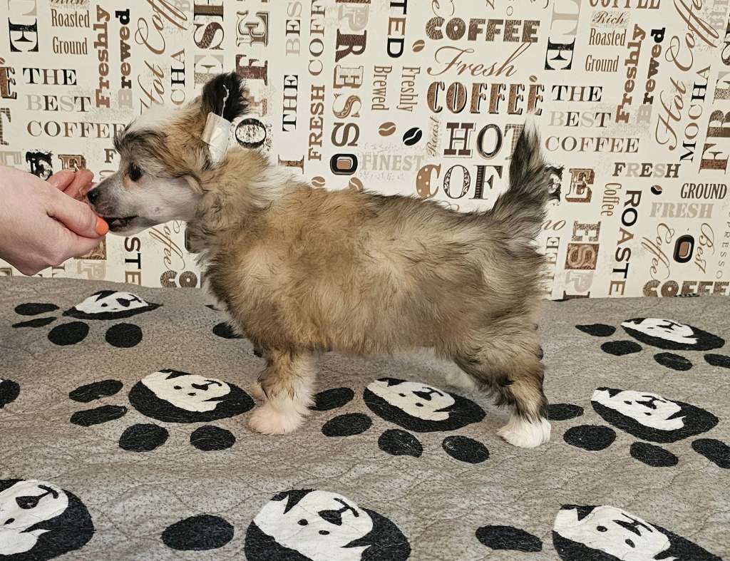 Pinky Twinky Out Among The Stars