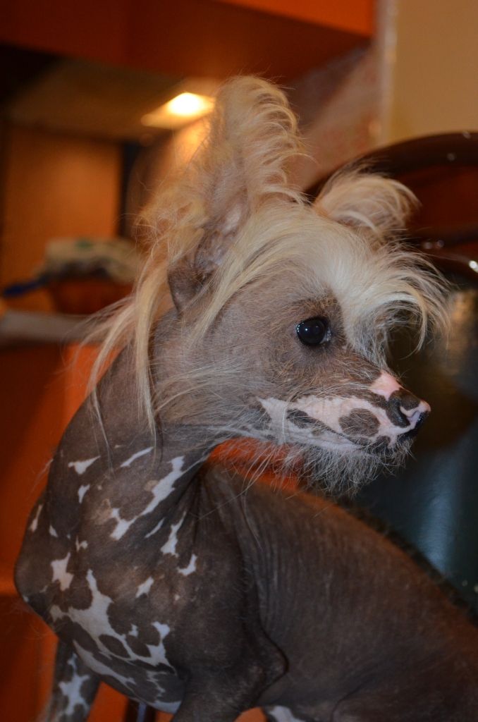 Tre Enigmi Falazairroo