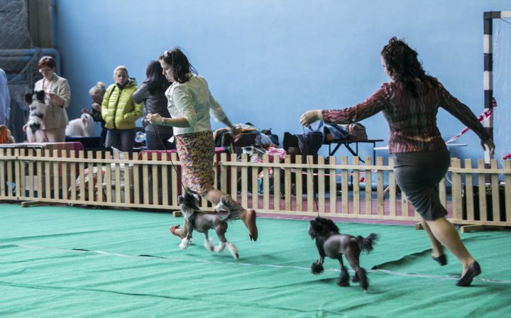 Yahoo Rus Foreva Djemanshi