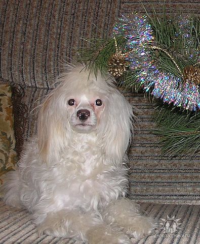 Naimuluna Line Miranda