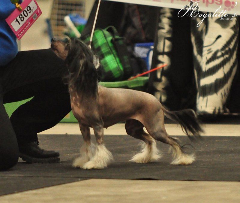 Sirocco Heaven's Hung In Black